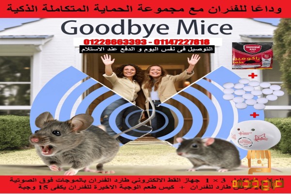 كفاية تعب وقلق بسبب الفئران