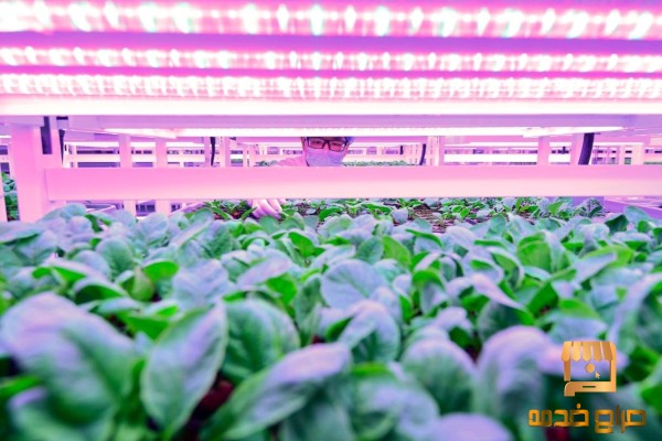 مكتب خبرة الزراعة الحديثة بالمغرب