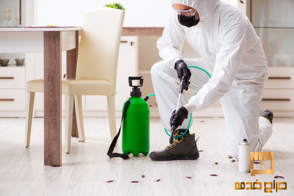شركة مكافحة حشرات بالرياض