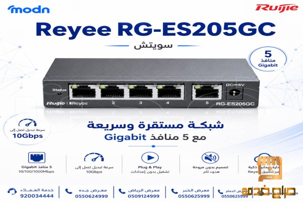 سويتش ريجي شبكة سريعة وعالية كفاءة