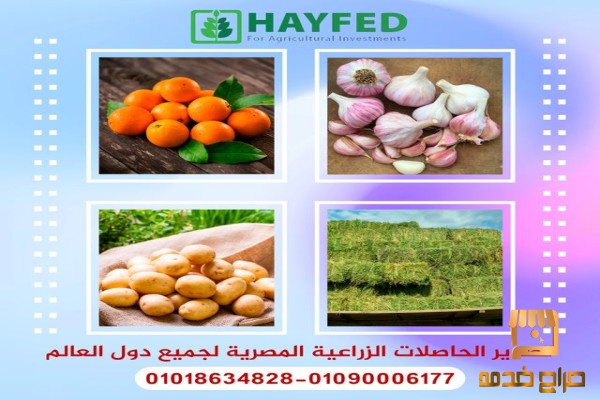 هايفد للاستثمارات الزراعية