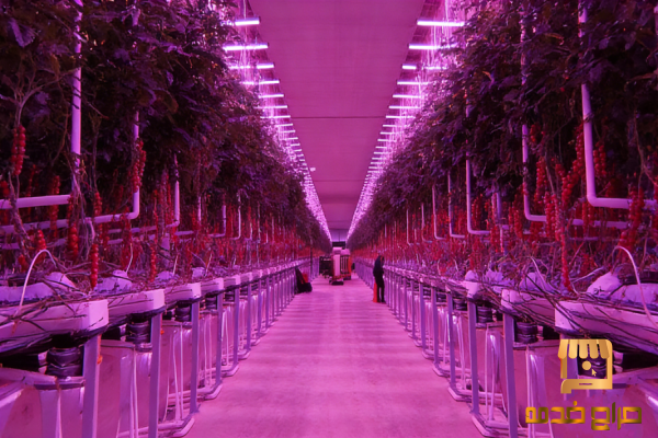 مكتب دراسات الزراعة الذكية والحديثة