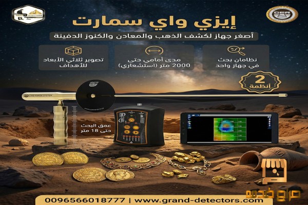 إيزي واي سمارت أصغر جهاز يكشف الكنوز