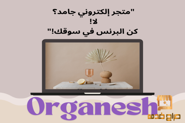 لا تفتح متجر إلكتروني جامد