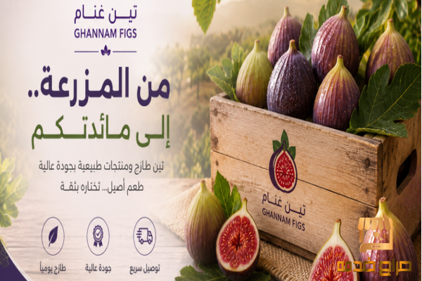 تين أصفر طازج