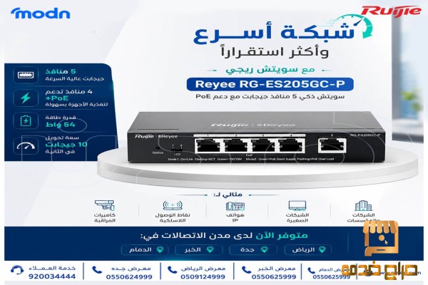 سويتش ريجي مرونة عالية في بناء شبكتك