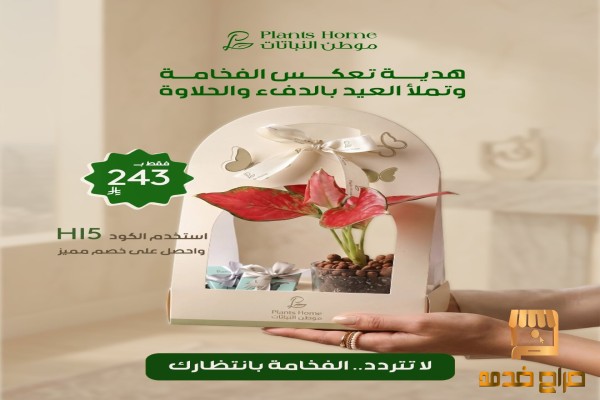 هدايا نباتات العيد من موطن النباتات